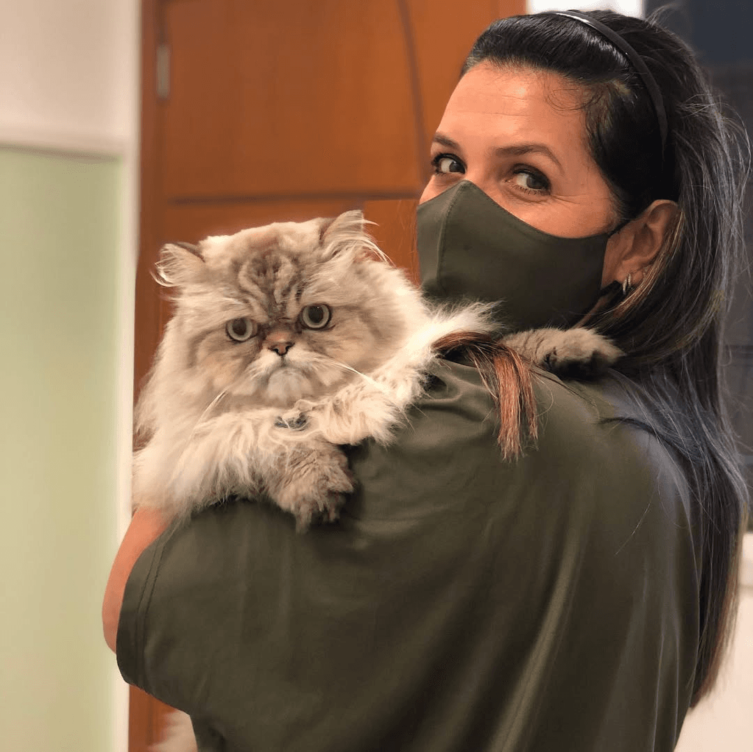 Nathália Herrera carregando um gato persa no colo no consultório